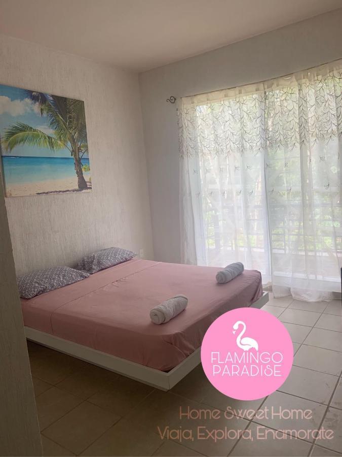 Depa Flamingo Apartamento